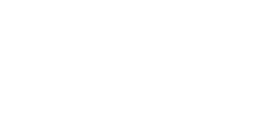 IFS logo wit